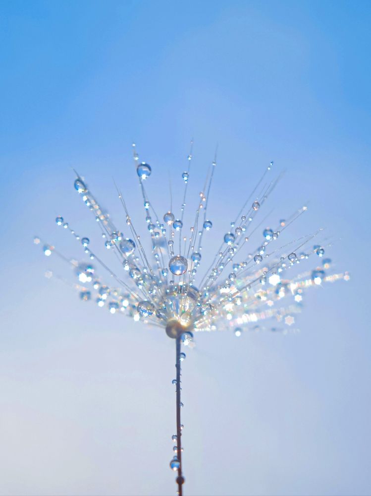 Драгоценный