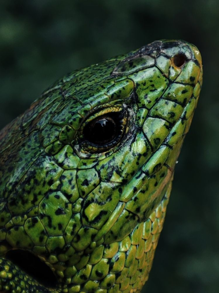 Photograph by Татьяна Долгушева