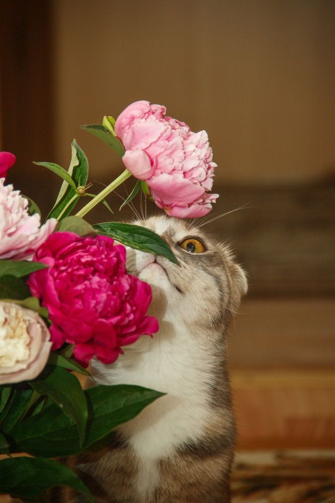 Фотография автора Ivan Karpoff