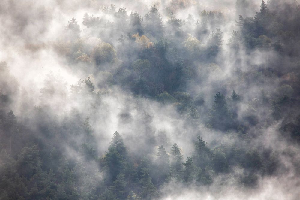 Photograph by Ирина Гентош