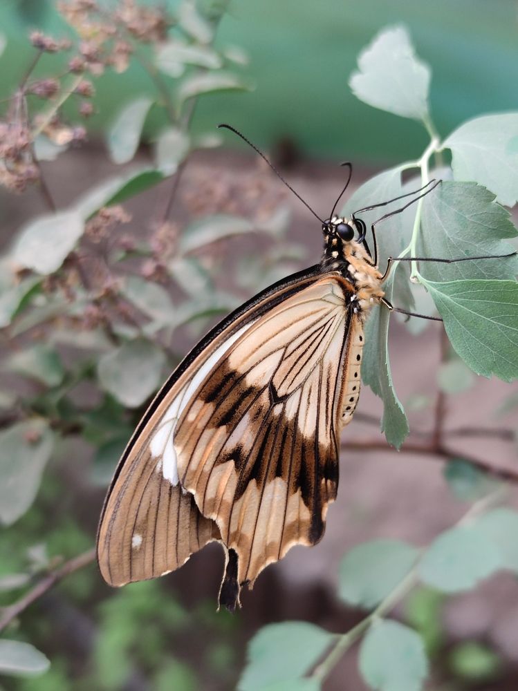 Фотография автора Iri