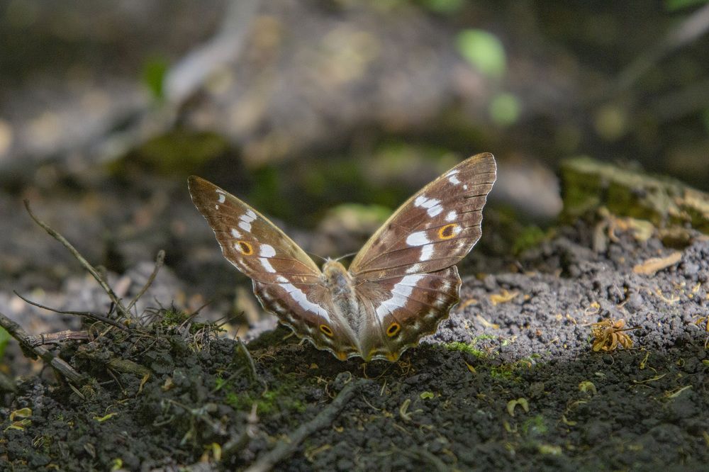 Photograph by SLAVA POTOCKIJ