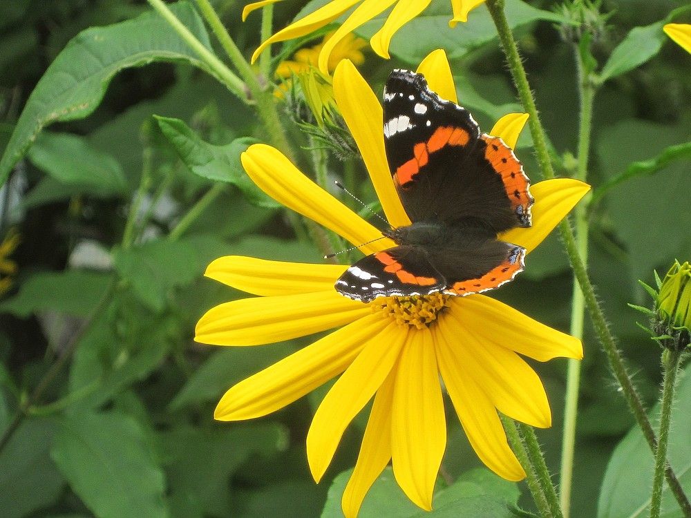 Photograph by Михаил Попов