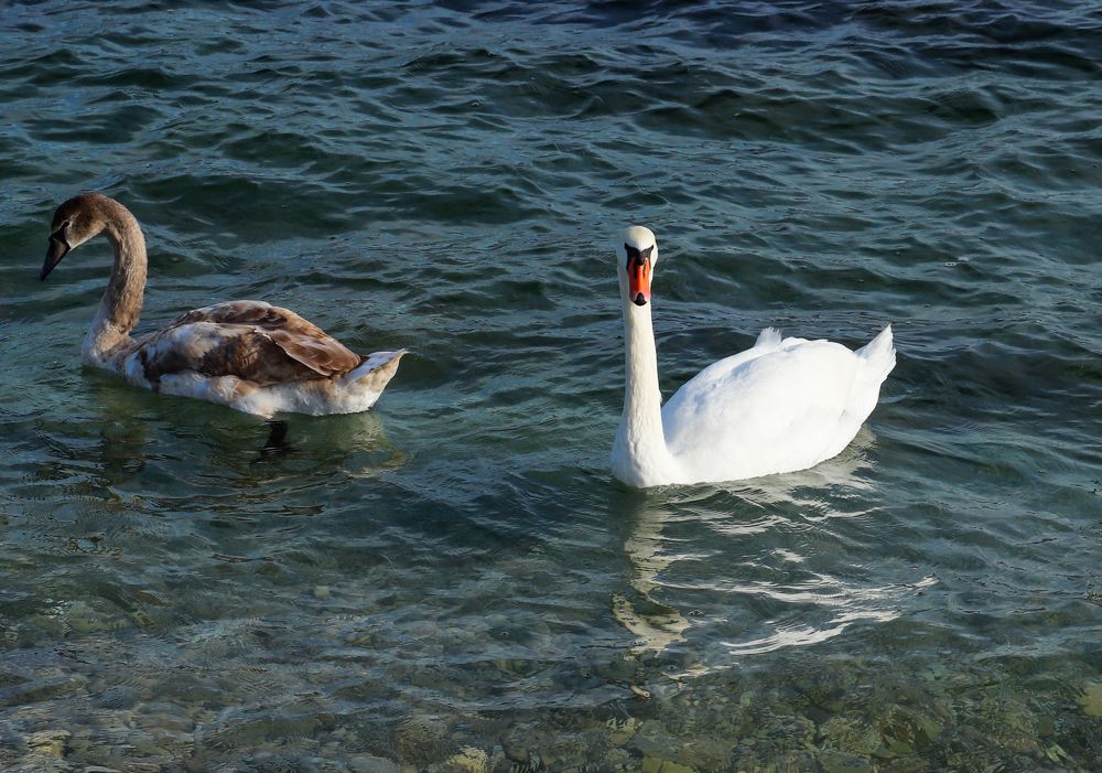 Фотография автора Олег Башкуров