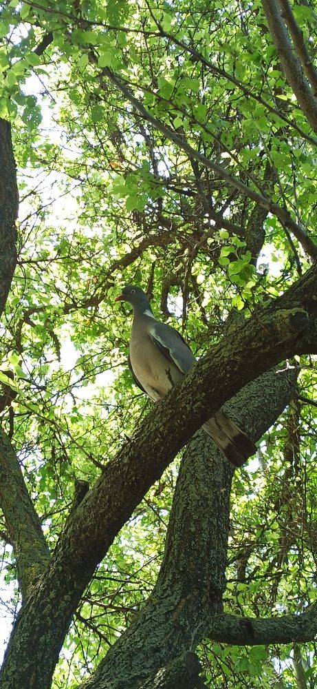 Photograph by Виорика