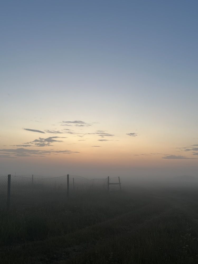 Photograph by Елена Гайдай