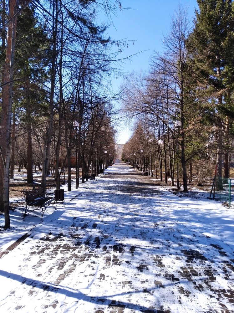 Фотография автора Анастасия Горбачева