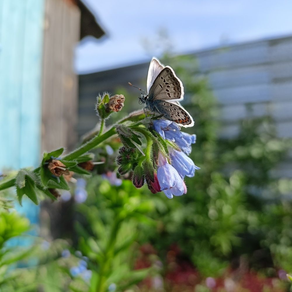 Фотография автора Анастасия Горбачева