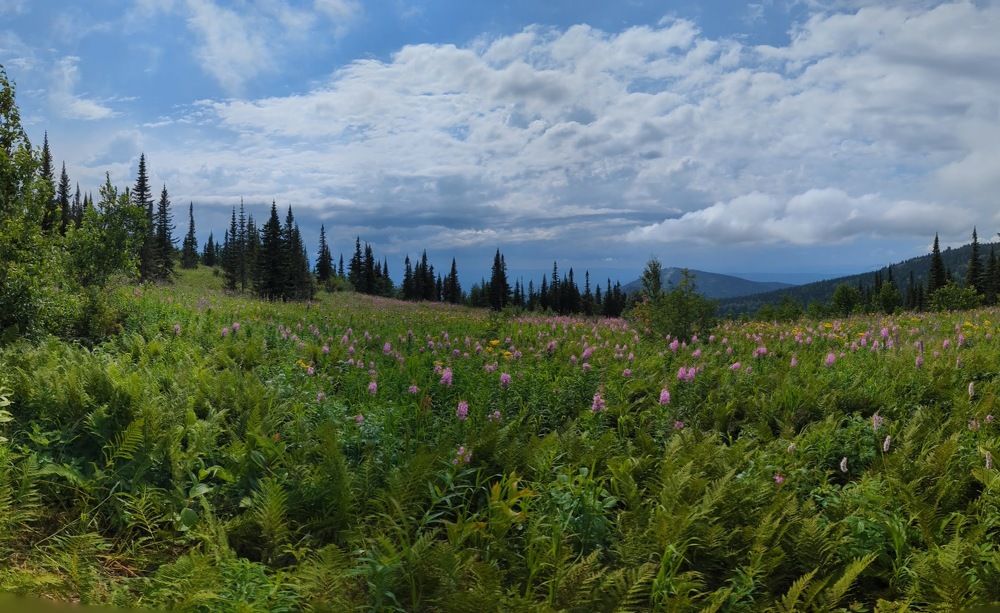 Photograph by Евгения Гунина