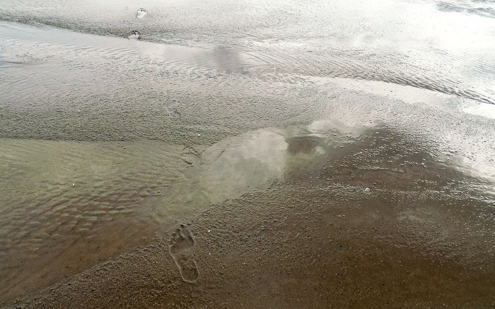 Photograph by Серега Вартман