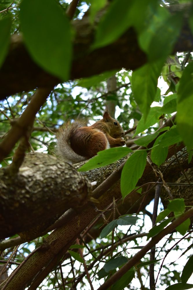 Фотография автора Любовь Панфилова