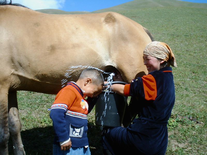 Berdibek Sultamuratov, Kyrgyzstan (Kyrgyzstan)