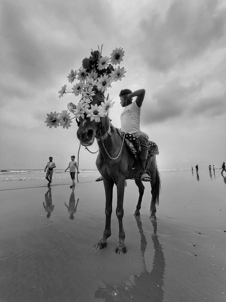 Фотография автора Arkoprobho Pal