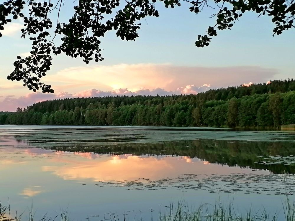 Photograph by Михаил Попов