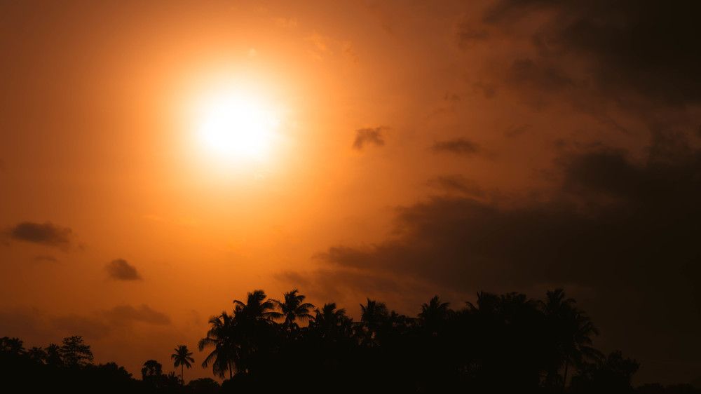 Photograph by Sabharish PV