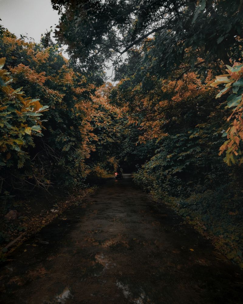 Photograph by Sabharish PV