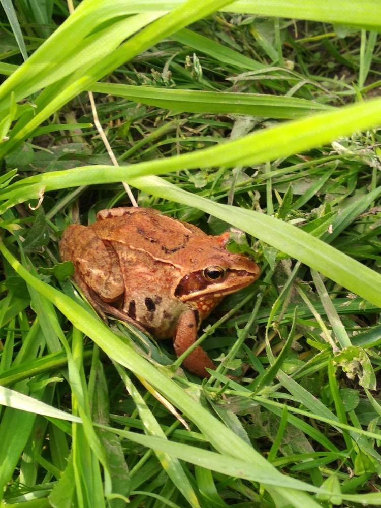 Photograph by Янина Милош