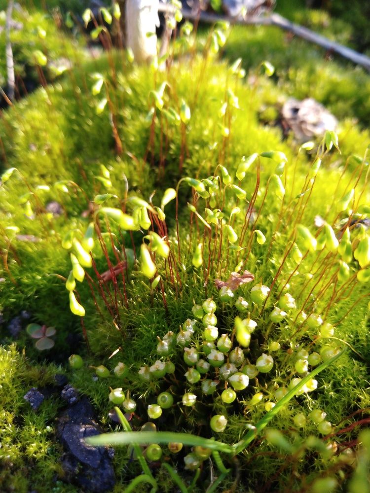 Photograph by Янина Милош