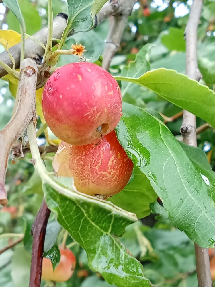 Photograph by Надежда Рулькова
