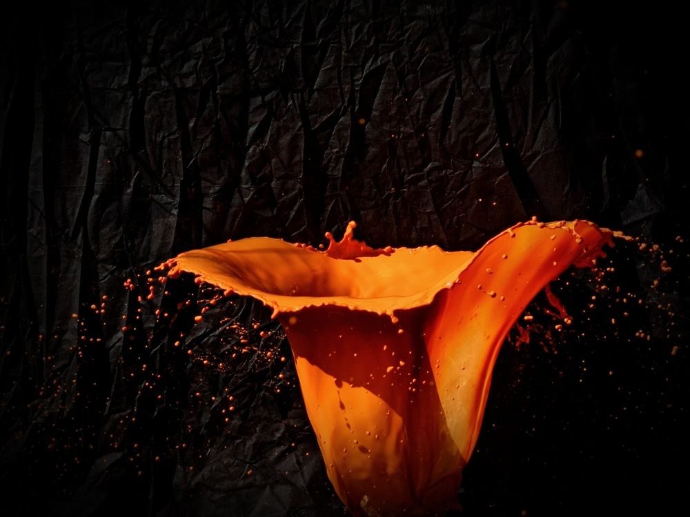 Photograph by Татьяна Долгушева