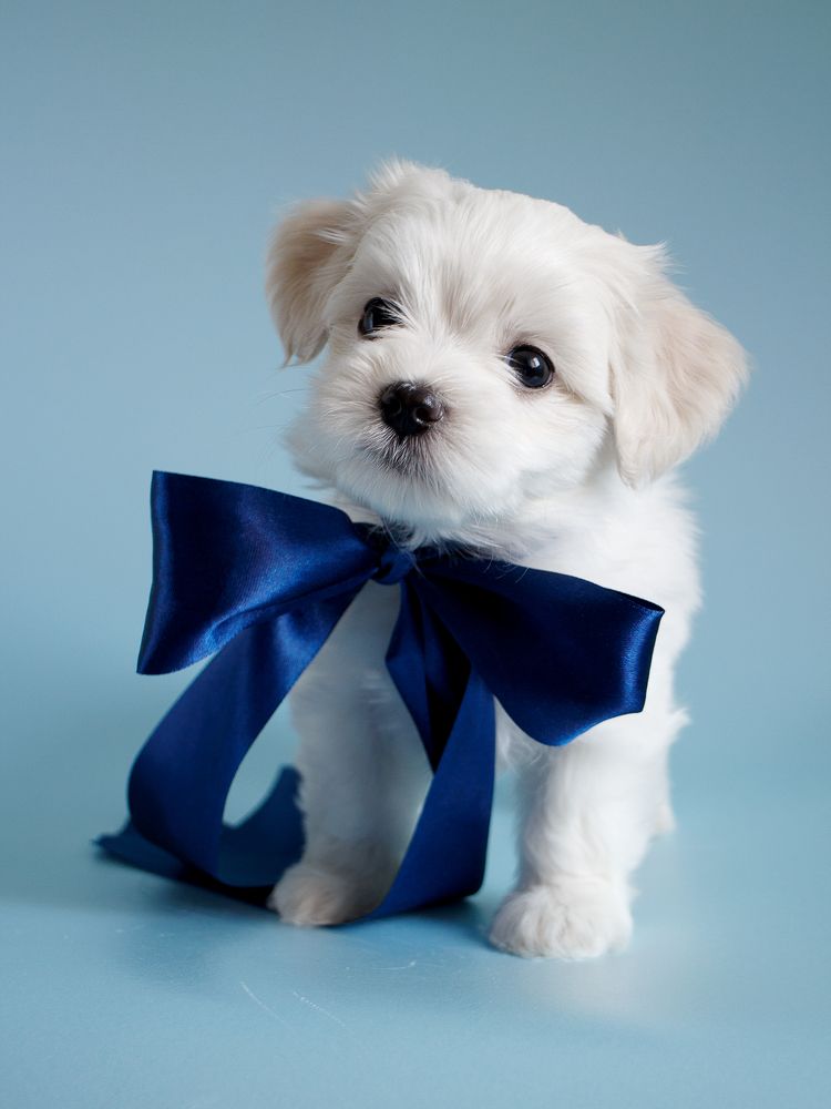 Photograph by Anna Medvedeva