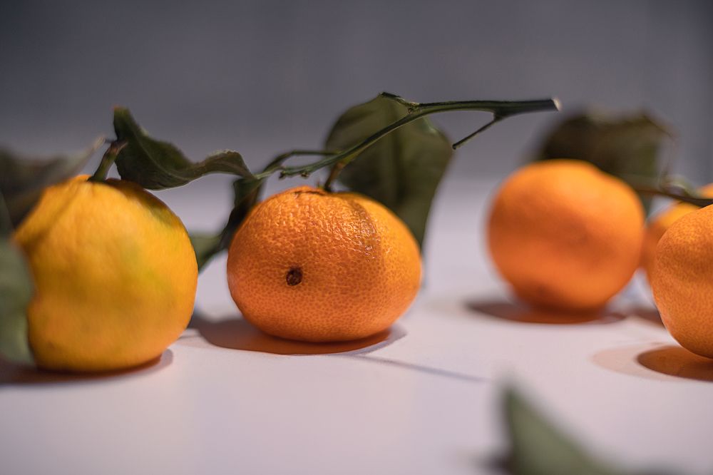 Photograph by Орехова Татьяна