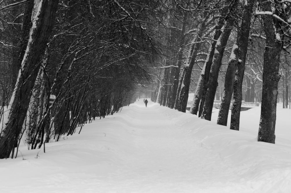 Photograph by Елена Николаева