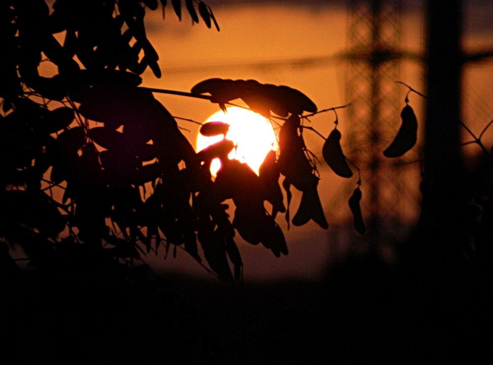 Фотография автора Сергей Рапопорт