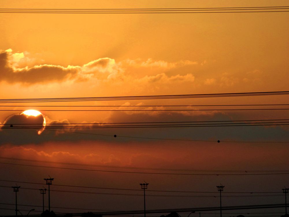 Фотография автора Сергей Рапопорт