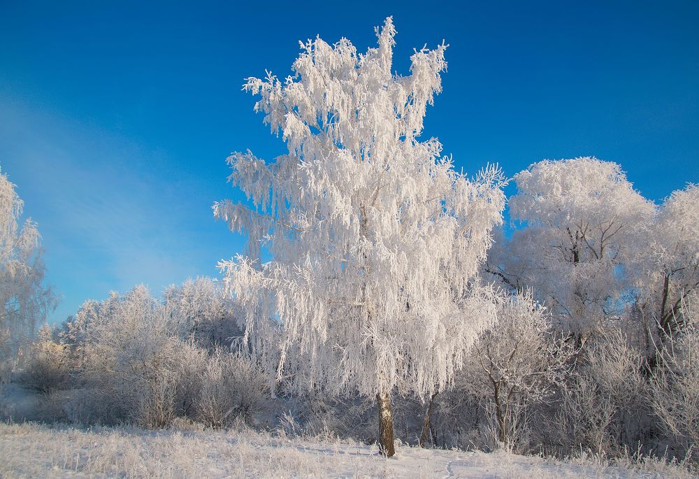 Photograph by Василий Быстрицкий