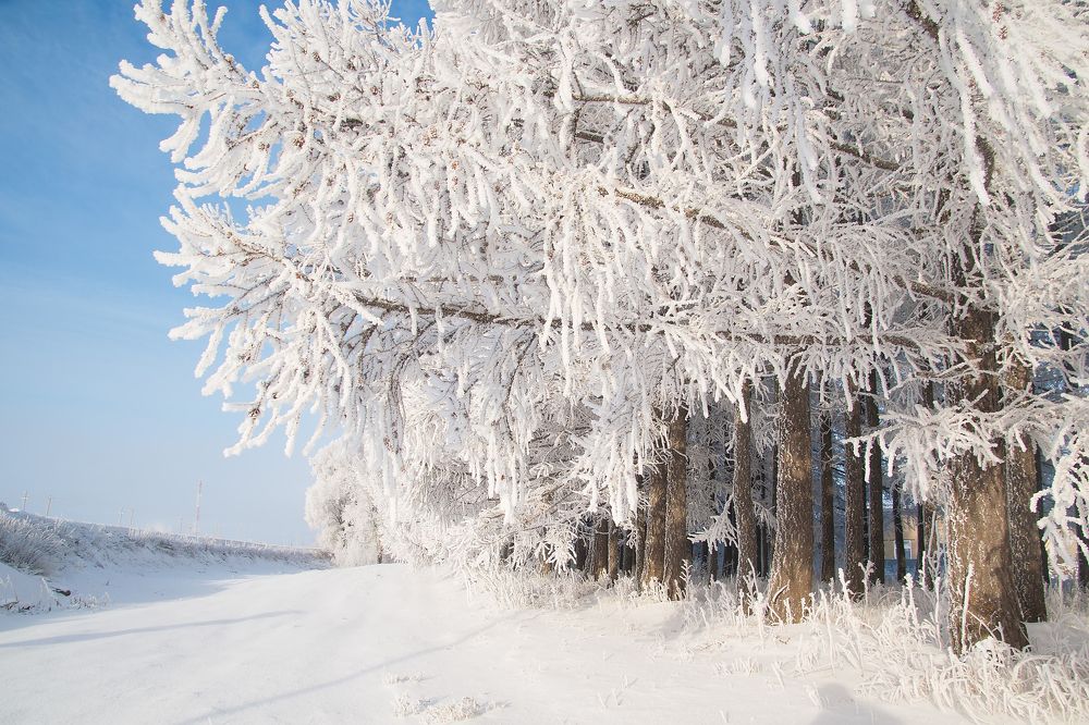 Photograph by Василий Быстрицкий