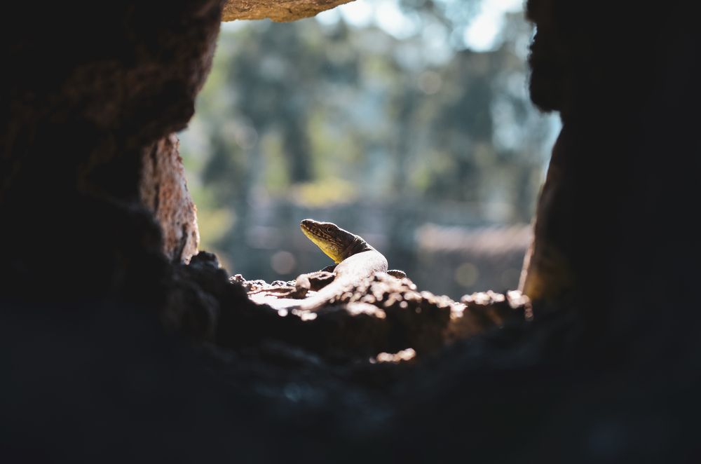 Photograph by Polina Kolesova