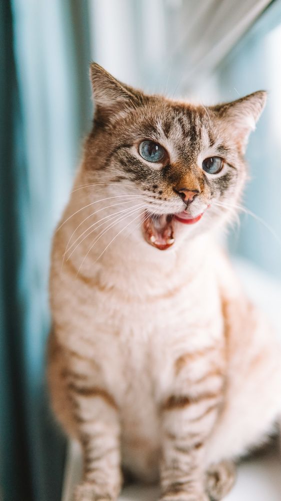 Фотография автора Юлия