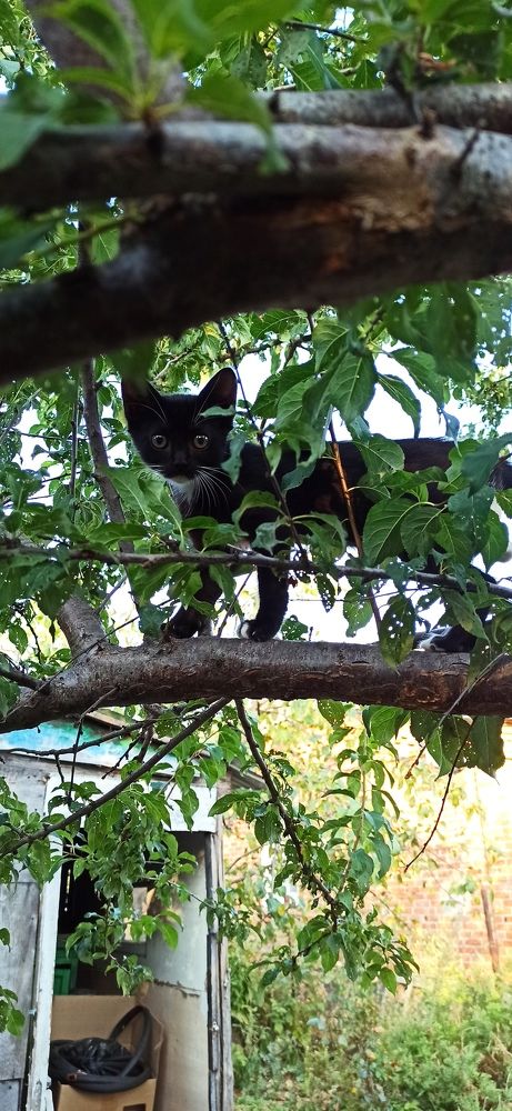 Photograph by Виорика Фоменко