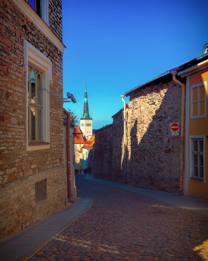 Фотография автора Ольга Попова