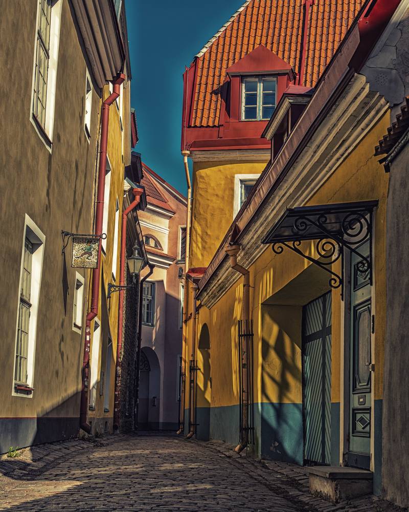 Фотография автора Ольга Попова