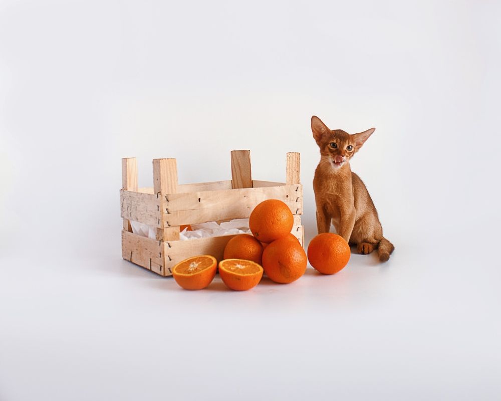 Photograph by Anna Medvedeva