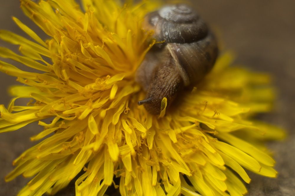 Photograph by миша