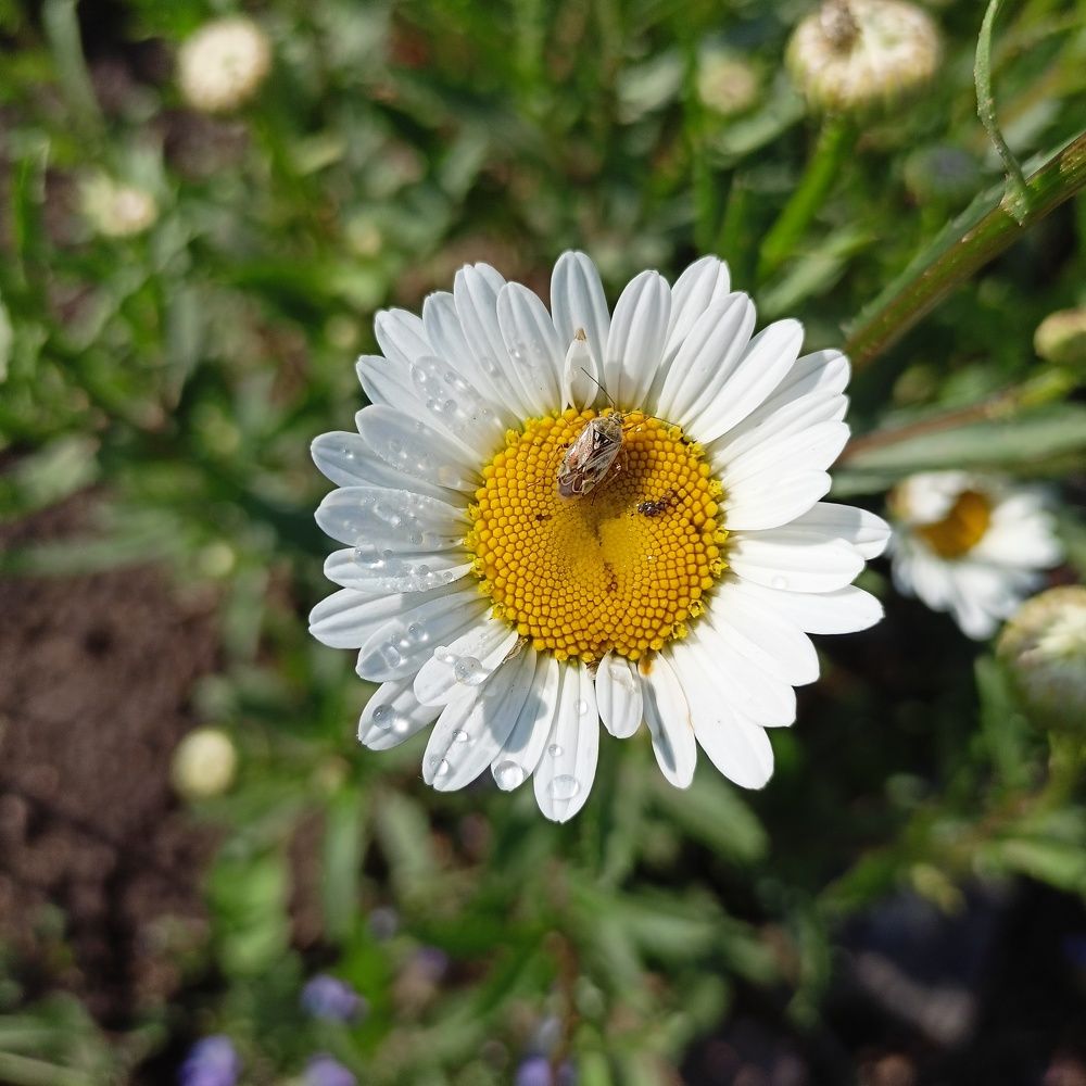 Фотография автора Анастасия Горбачева