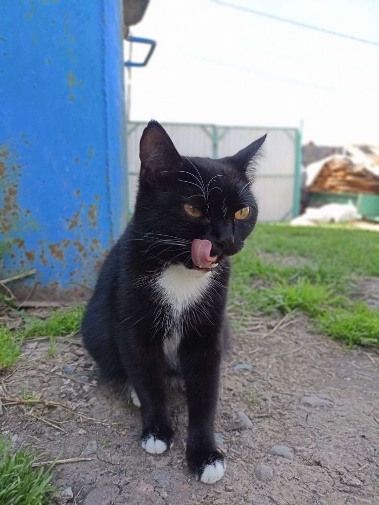 Фотография автора Анастасия Горбачева