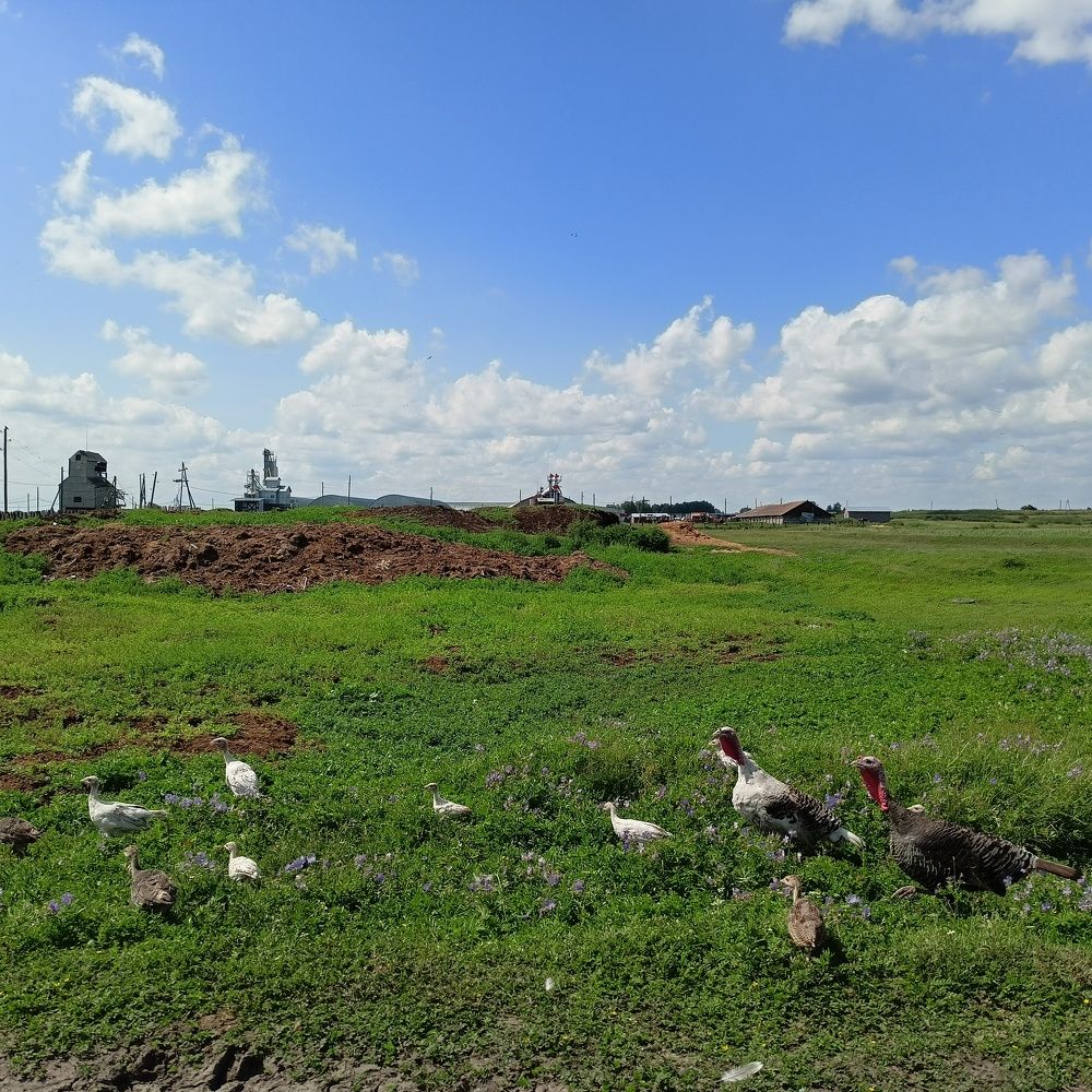 Фотография автора Анастасия Горбачева