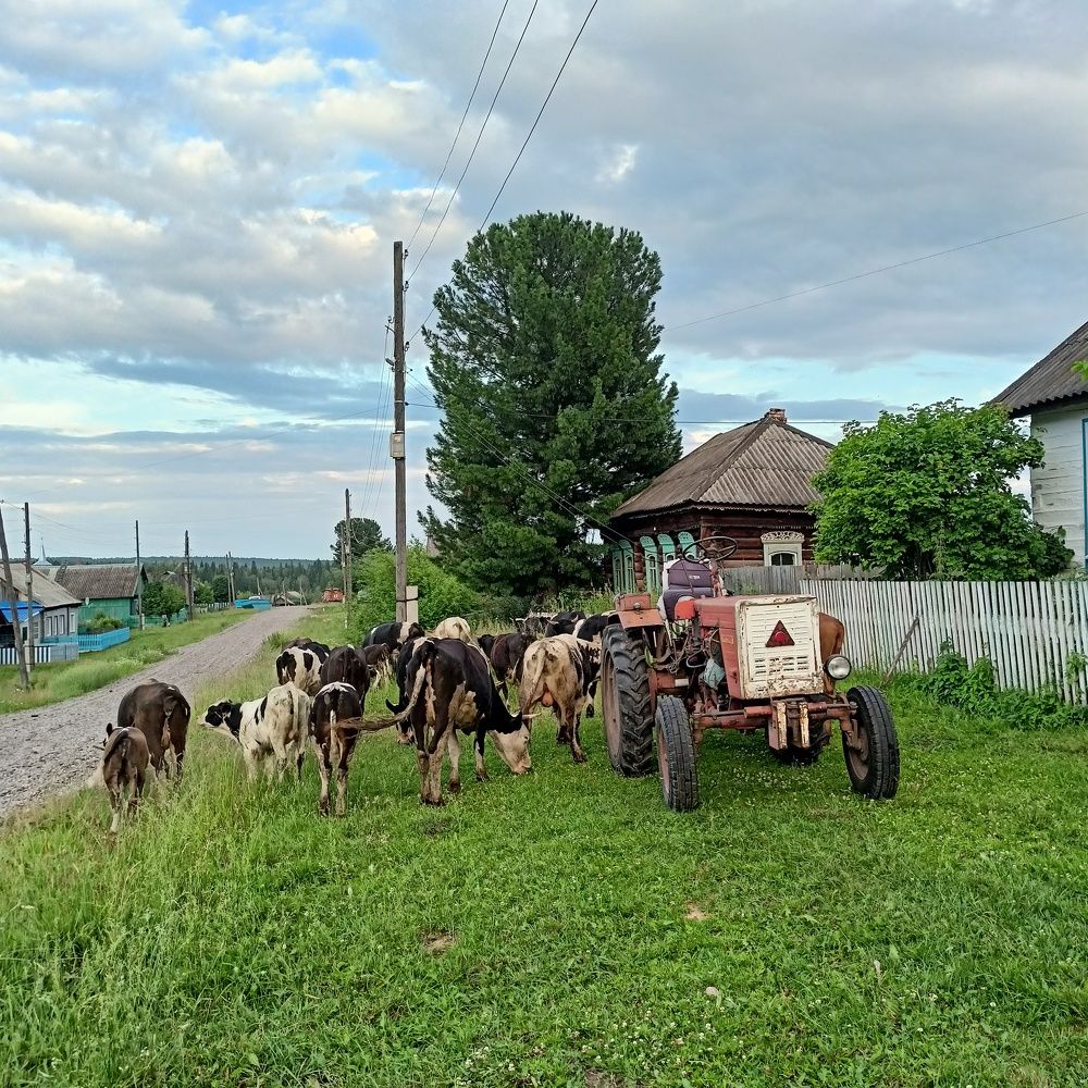 Фотография автора Анастасия Горбачева
