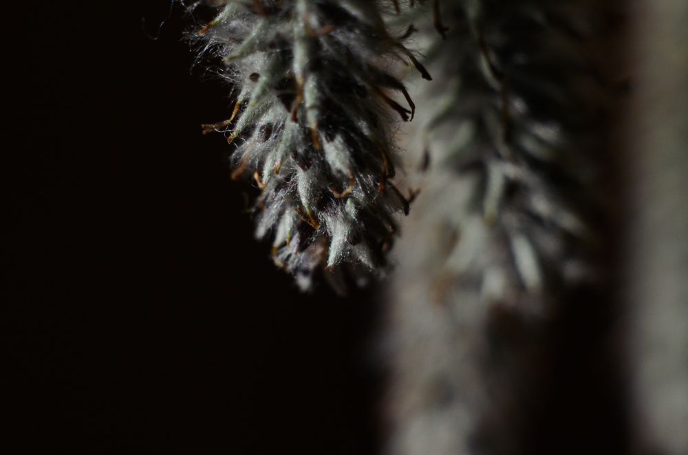 Фотография автора Вадим Писарев