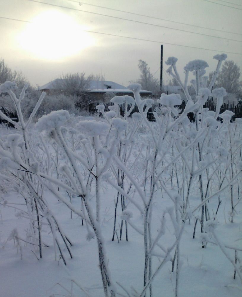 Фотография автора Елена Лещева