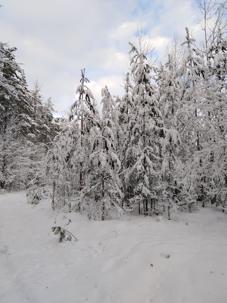 Photograph by Янина Милош