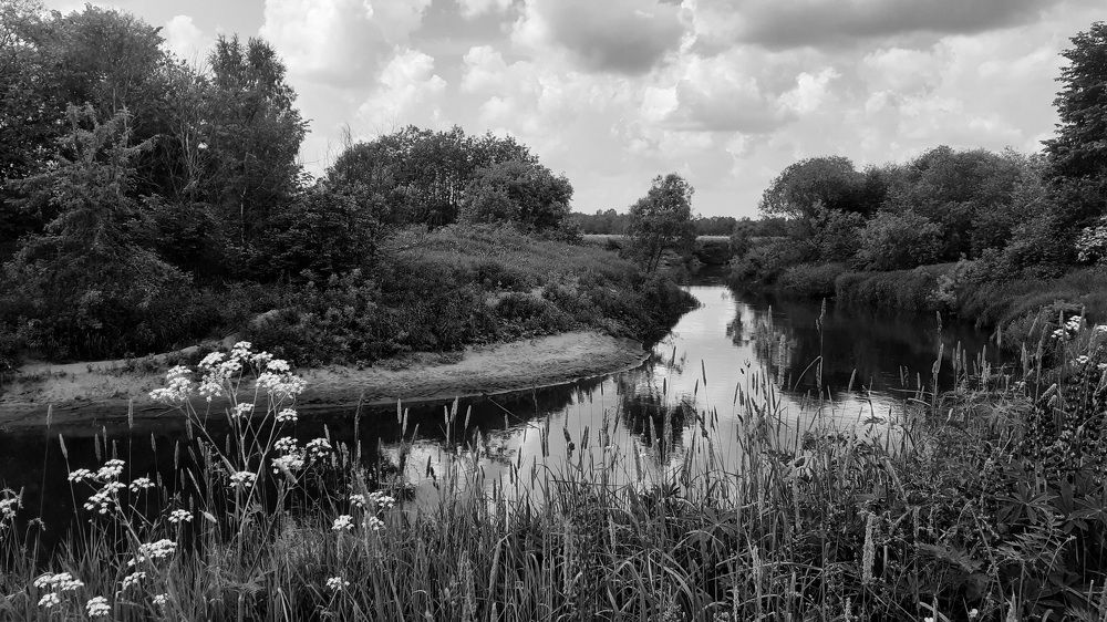 Фотография автора Елена Лещева
