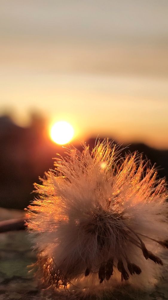 Фотография автора Марина