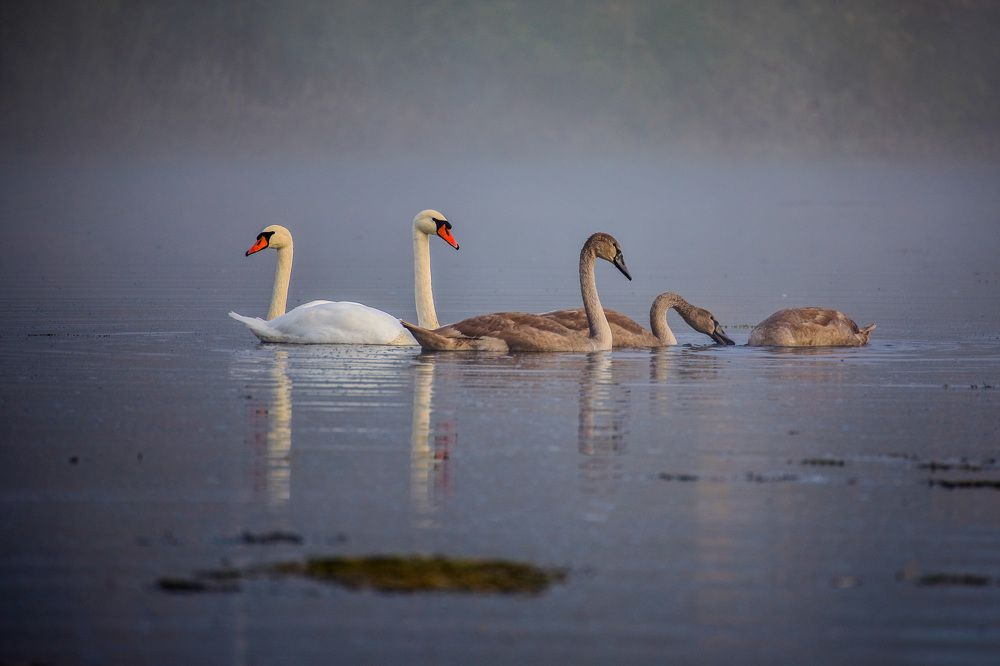 Фотография автора Юрий Фефилов