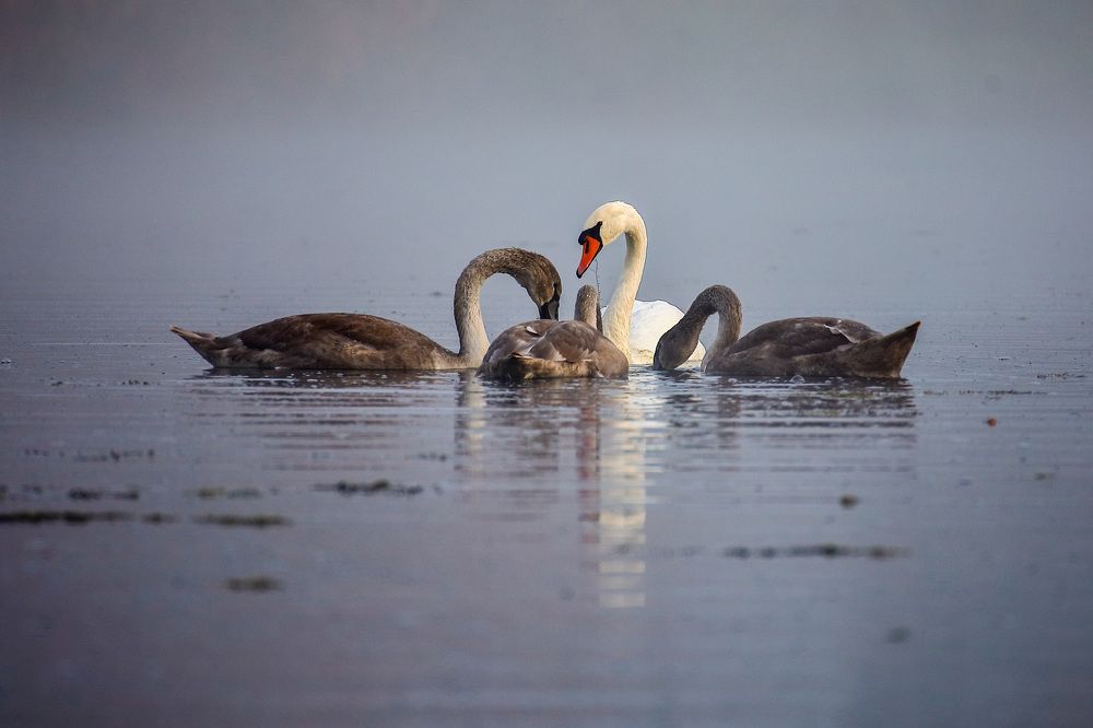 Фотография автора Юрий Фефилов