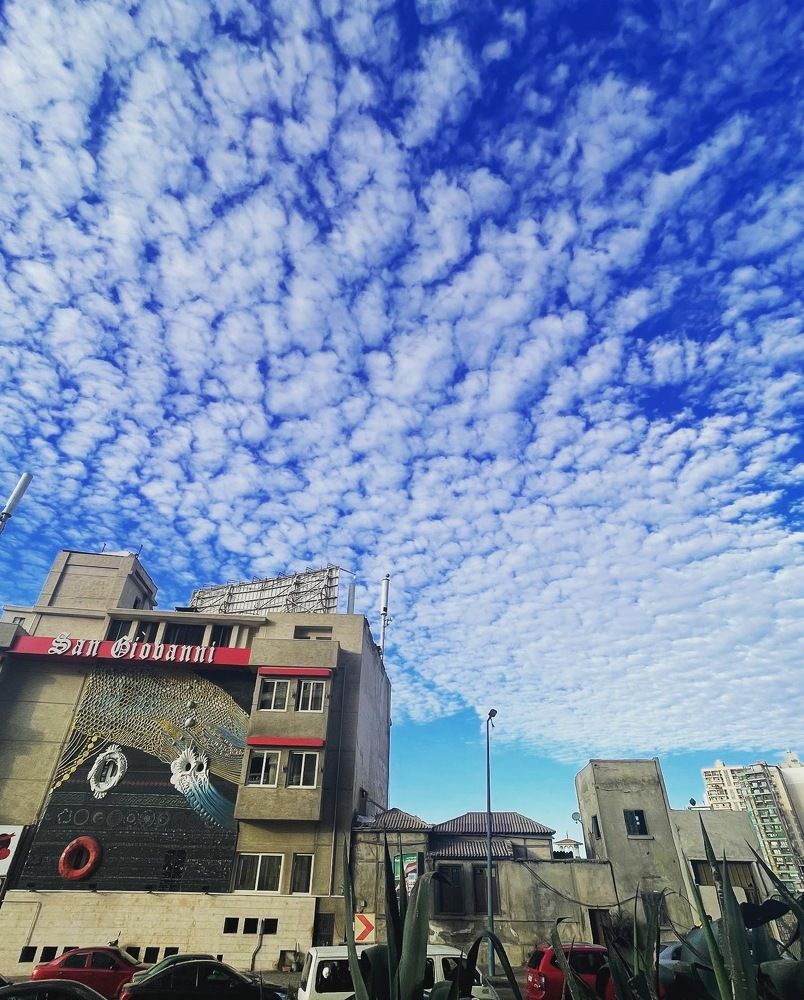 Фотография автора Hassan Mohamed Hamissa